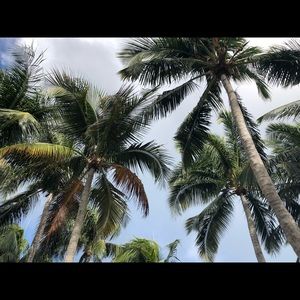 Meet your Posher, Danica